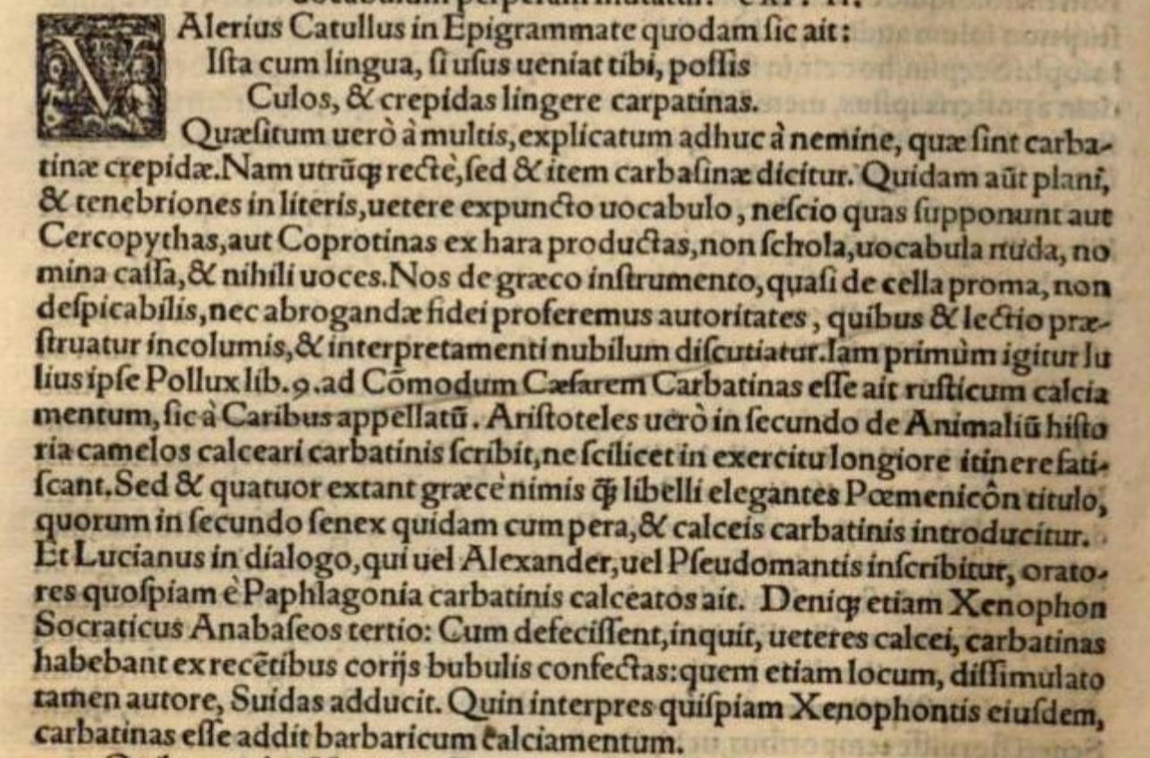 Analinguistic Reflections – SENTENTIAE ANTIQUAE